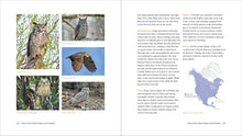 Load image into Gallery viewer, Front Cover
