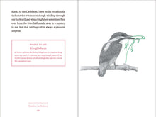 Load image into Gallery viewer, Front Cover