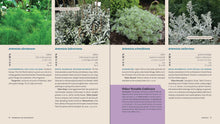 Load image into Gallery viewer, Front Cover