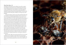 Load image into Gallery viewer, Front Cover