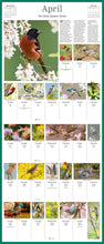 Load image into Gallery viewer, Front Cover