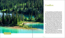 Load image into Gallery viewer, Front Cover