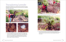Load image into Gallery viewer, Front Cover