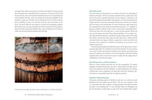 Load image into Gallery viewer, Front Cover