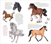 Load image into Gallery viewer, Front Cover