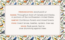 Load image into Gallery viewer, Front Cover