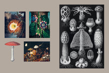 Load image into Gallery viewer, Front Cover