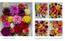 Load image into Gallery viewer, Front Cover