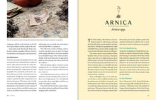 Load image into Gallery viewer, Front Cover