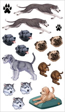 Load image into Gallery viewer, Front Cover