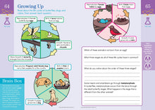 Load image into Gallery viewer, Front Cover