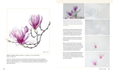 Load image into Gallery viewer, Front Cover