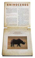 Load image into Gallery viewer, Front Cover