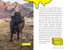 Load image into Gallery viewer, Front Cover