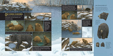 Load image into Gallery viewer, Front Cover