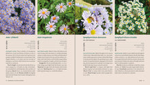 Load image into Gallery viewer, Front Cover