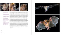 Load image into Gallery viewer, Front Cover
