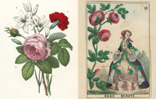 Load image into Gallery viewer, Front Cover