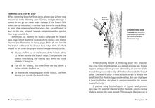 Load image into Gallery viewer, Front Cover
