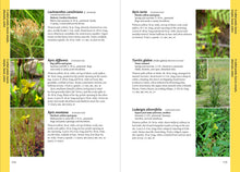 Load image into Gallery viewer, Front Cover