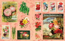 Load image into Gallery viewer, Front Cover