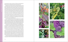 Load image into Gallery viewer, Front Cover