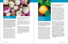 Load image into Gallery viewer, Front Cover