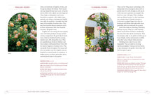 Load image into Gallery viewer, Front Cover