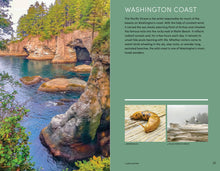 Load image into Gallery viewer, Front Cover