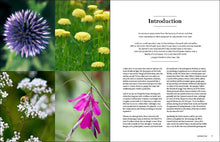 Load image into Gallery viewer, Front Cover
