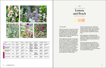 Load image into Gallery viewer, Front Cover