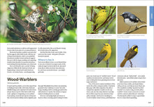 Load image into Gallery viewer, Front Cover