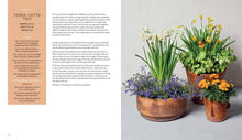 Load image into Gallery viewer, Front Cover
