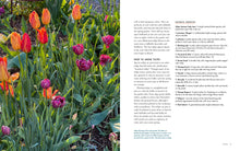 Load image into Gallery viewer, Front Cover