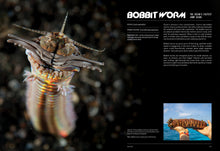 Load image into Gallery viewer, Front Cover