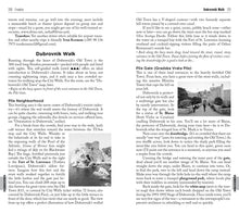 Load image into Gallery viewer, Front Cover