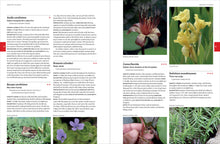 Load image into Gallery viewer, Front Cover