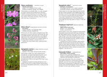 Load image into Gallery viewer, Front Cover