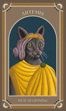 Load image into Gallery viewer, Front Cover