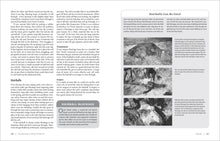 Load image into Gallery viewer, Front Cover