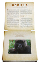 Load image into Gallery viewer, Front Cover