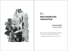 Load image into Gallery viewer, Front Cover