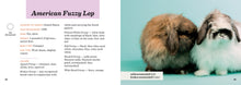 Load image into Gallery viewer, Front Cover