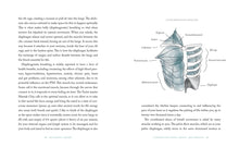 Load image into Gallery viewer, Front Cover