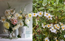 Load image into Gallery viewer, Front Cover