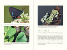 Load image into Gallery viewer, Front Cover
