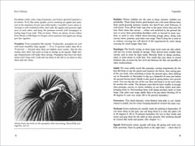 Load image into Gallery viewer, Front Cover