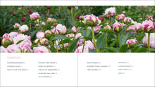 Load image into Gallery viewer, Front Cover