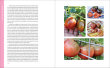 Load image into Gallery viewer, Front Cover