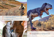 Load image into Gallery viewer, Front Cover